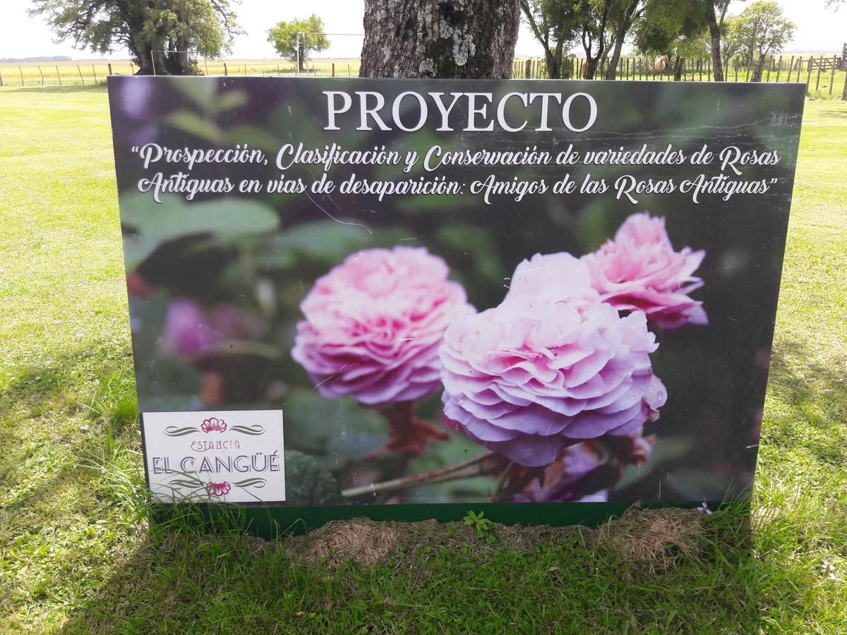 Estancia El Cangue Porvenir Exteriér fotografie